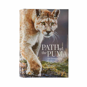 Path of the Puma: The Remarkable Resilience of the Mountain Lion