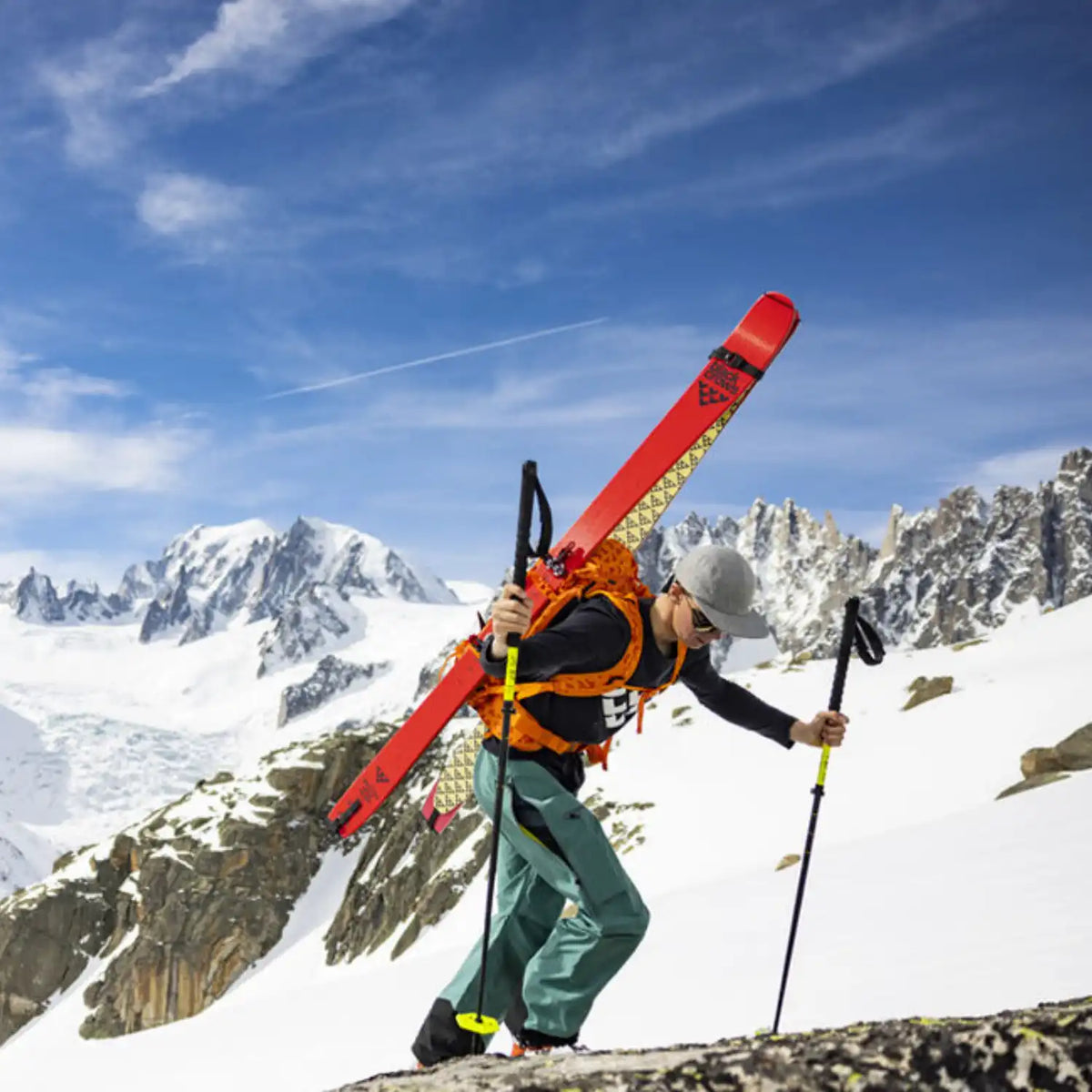 Black Crows Laskettelusukset Camox Freebird 24/25 Treeline Outdoors