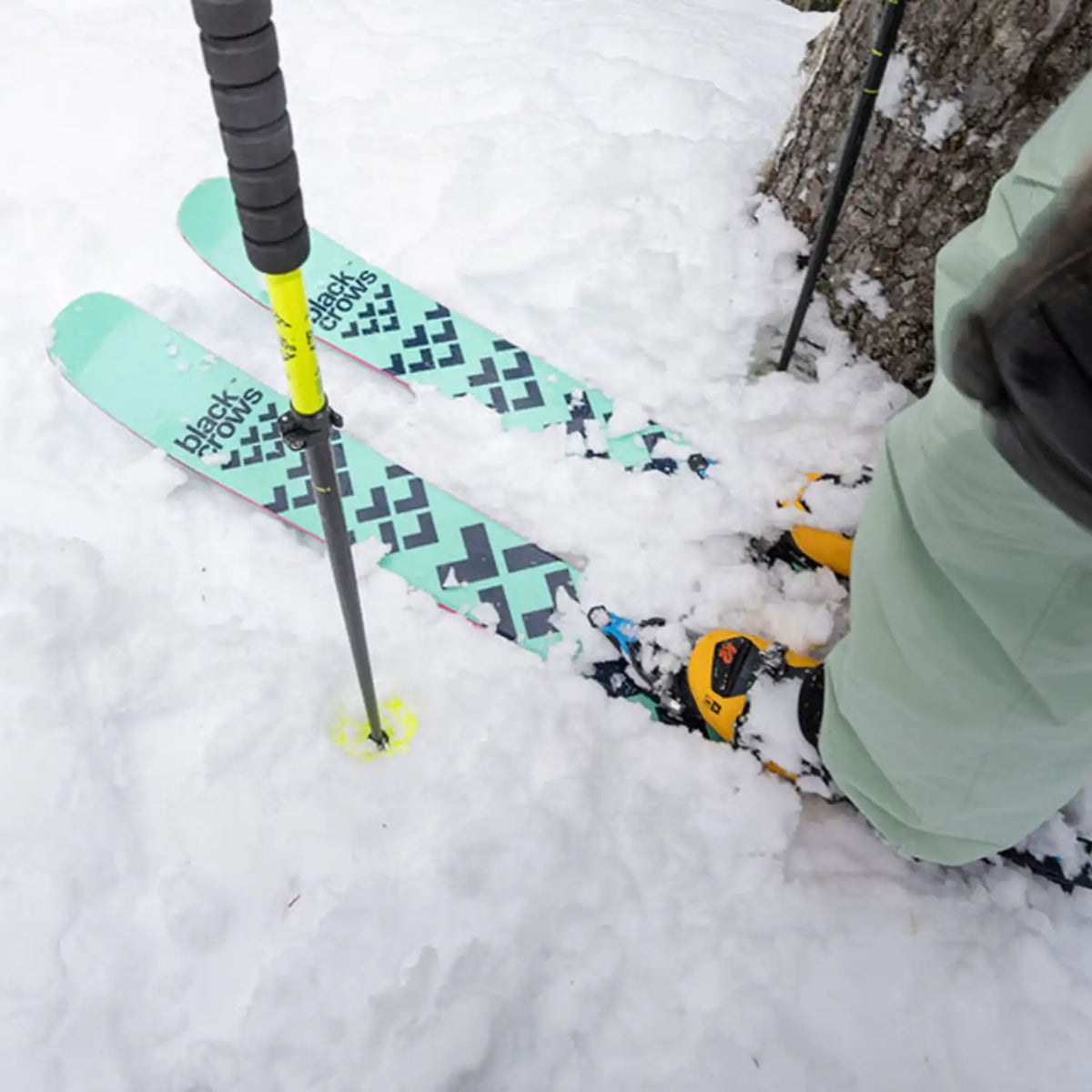 Black Crows Laskettelusukset Atris Birdie 23/24 Treeline Outdoors