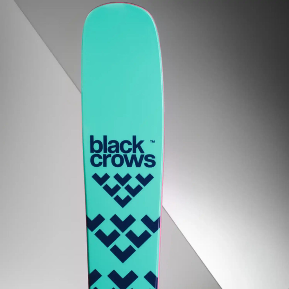 Black Crows Laskettelusukset Atris Birdie 23/24 Treeline Outdoors