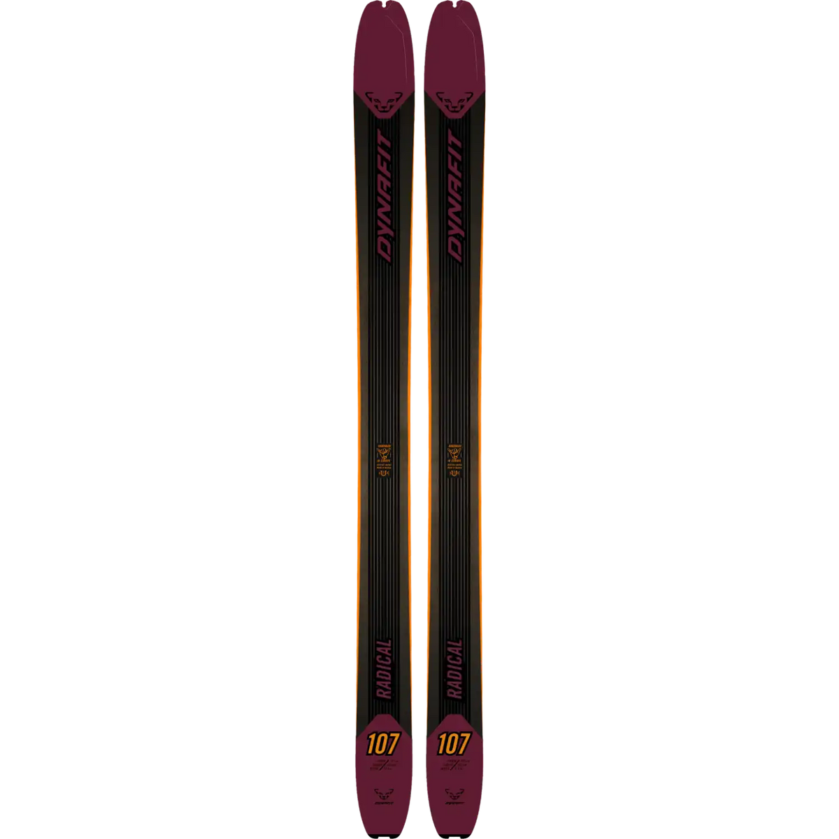Dynafit Laskettelusukset Radical 107 Touring Ski 23/24 Treeline Outdoors