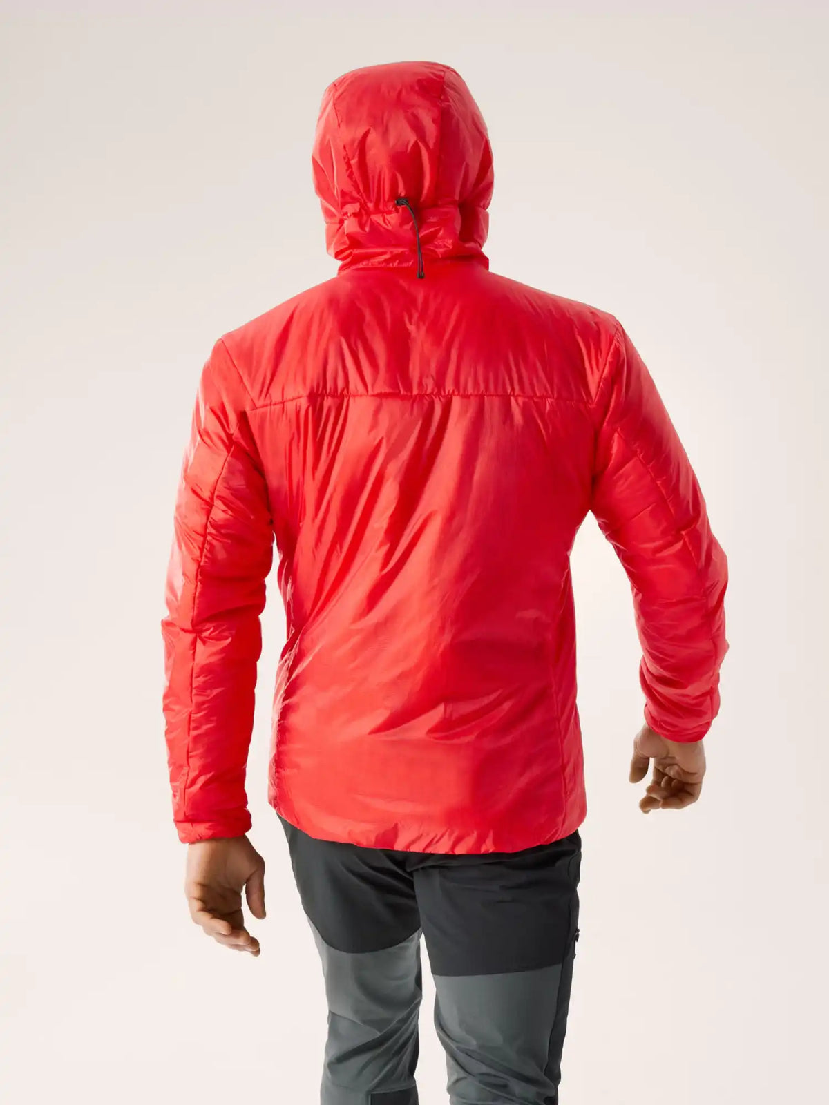 Arc&#39;teryx Toppatakit Nuclei Hoody Men&#39;s Treeline Outdoors