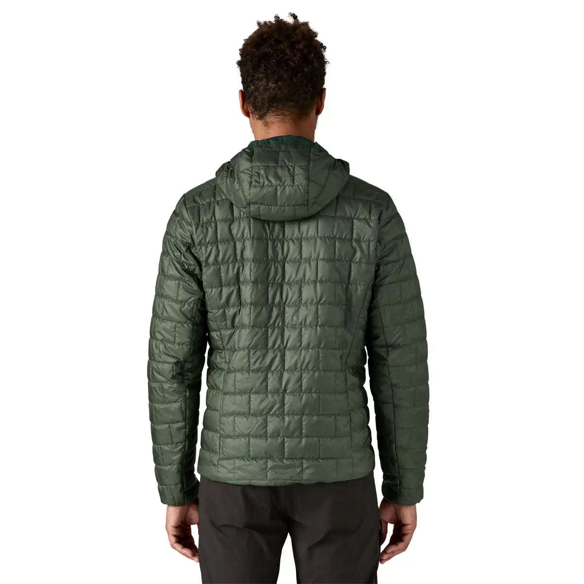 Nano Puff Fitz Roy Trout Hoody Men&#39;s