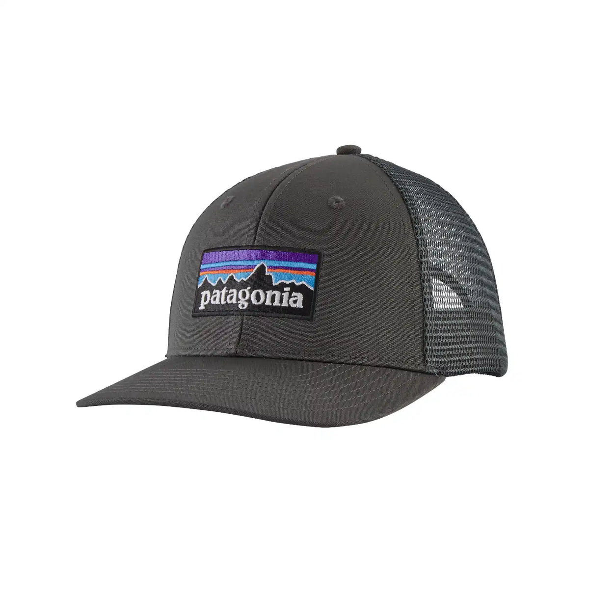 Patagonia Lippikset Patagonia P-6 Trucker Hat Treeline Outdoors