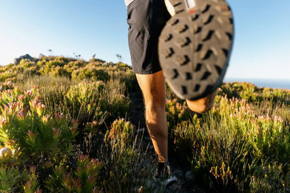 Salomon Juoksukengät S/LAB Genesis Treeline Outdoors