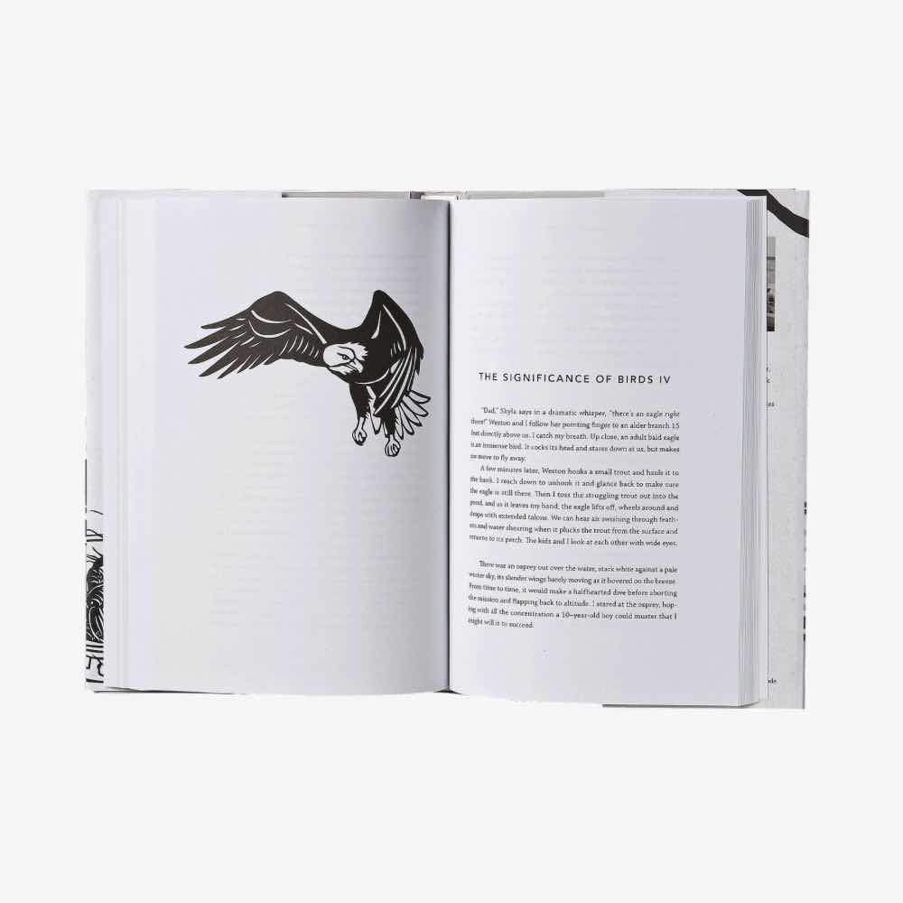 Patagonia Kirjat Closer to the Ground by Dylan Tomine Treeline Outdoors