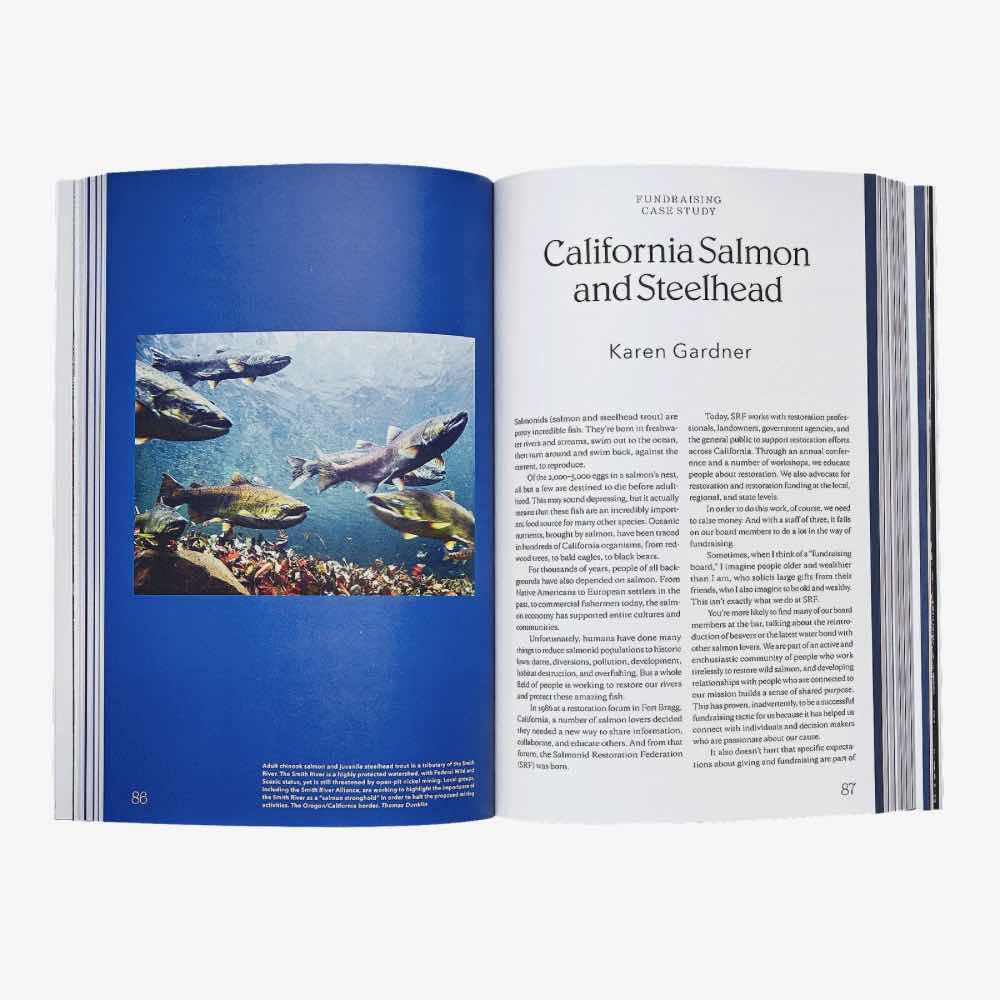 Patagonia Kirjat Tools For Grassroots Activists Treeline Outdoors