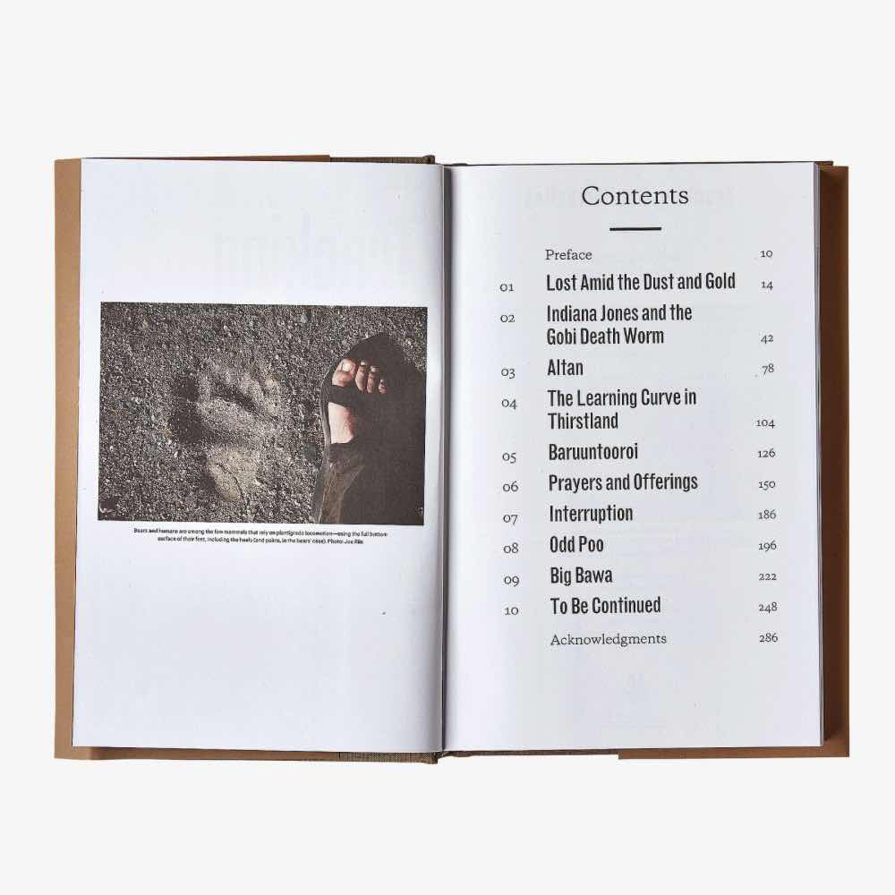 Patagonia Kirjat Tracking Gobi Grizzlies: Surviving Beyond the Back of Beyond by Doug Chadwick Treeline Outdoors