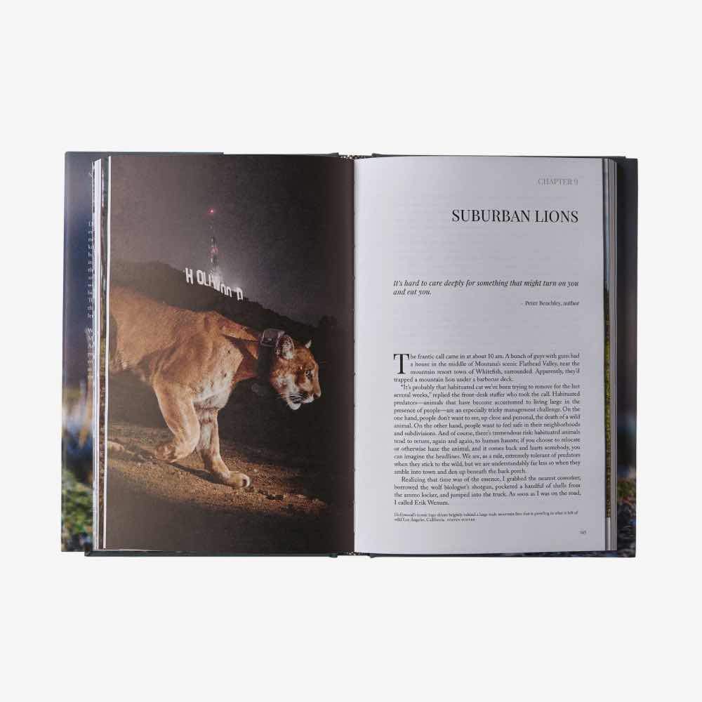 Patagonia Kirjat Path of the Puma: The Remarkable Resilience of the Mountain Lion Treeline Outdoors