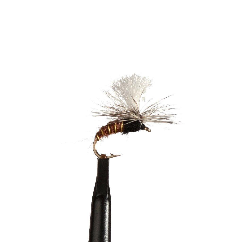 Spey Brothers Perhot Klinkhämer Treeline Outdoors