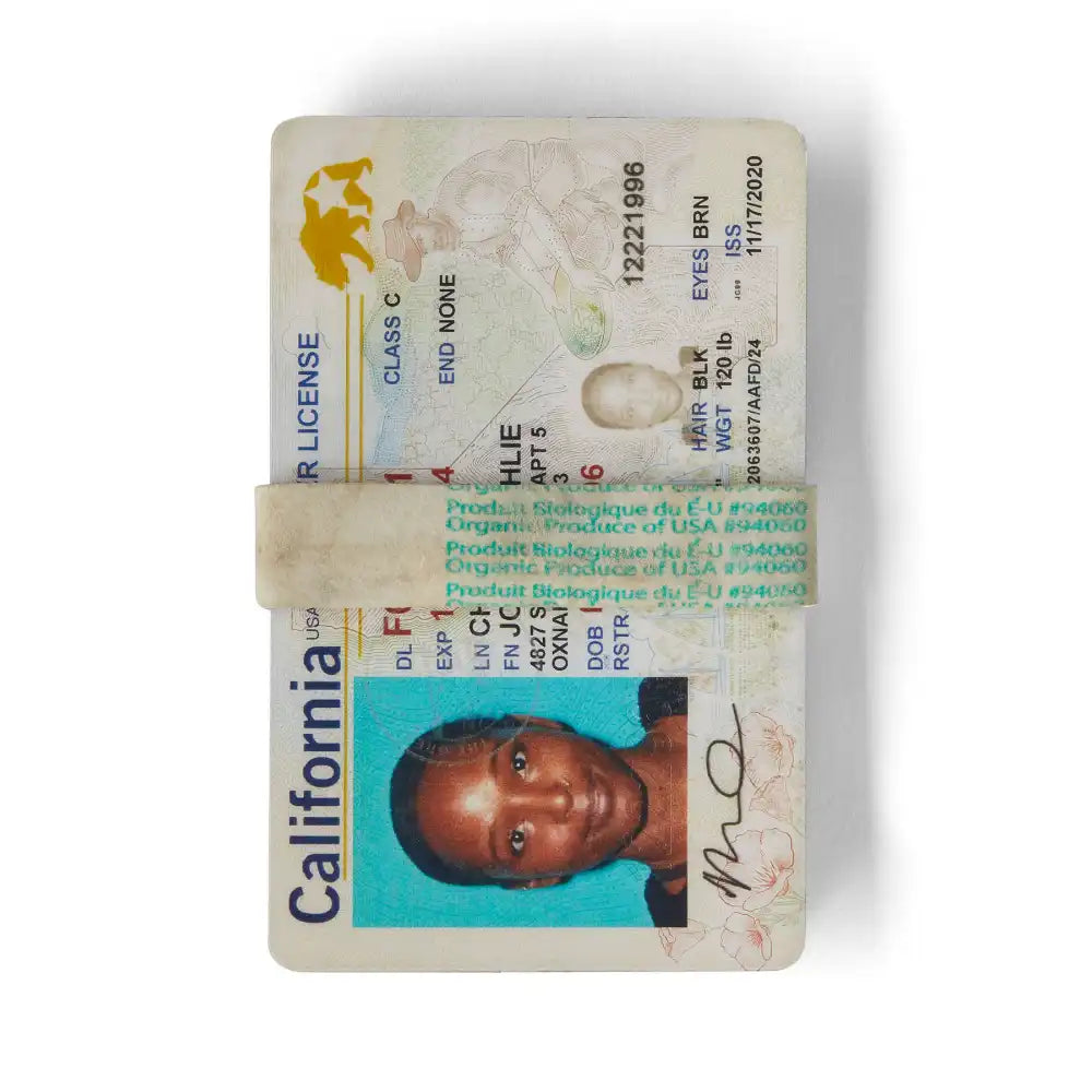 Patagonia Vaatteiden paikkaussarja Worn Wear Field Repair Kit Treeline Outdoors